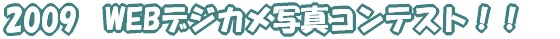 2009@WEBfWJʐ^ReXgII 