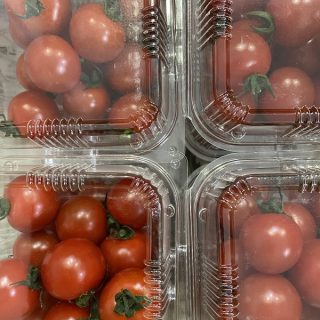 月曜日よりトマトの定期販売が始まります。