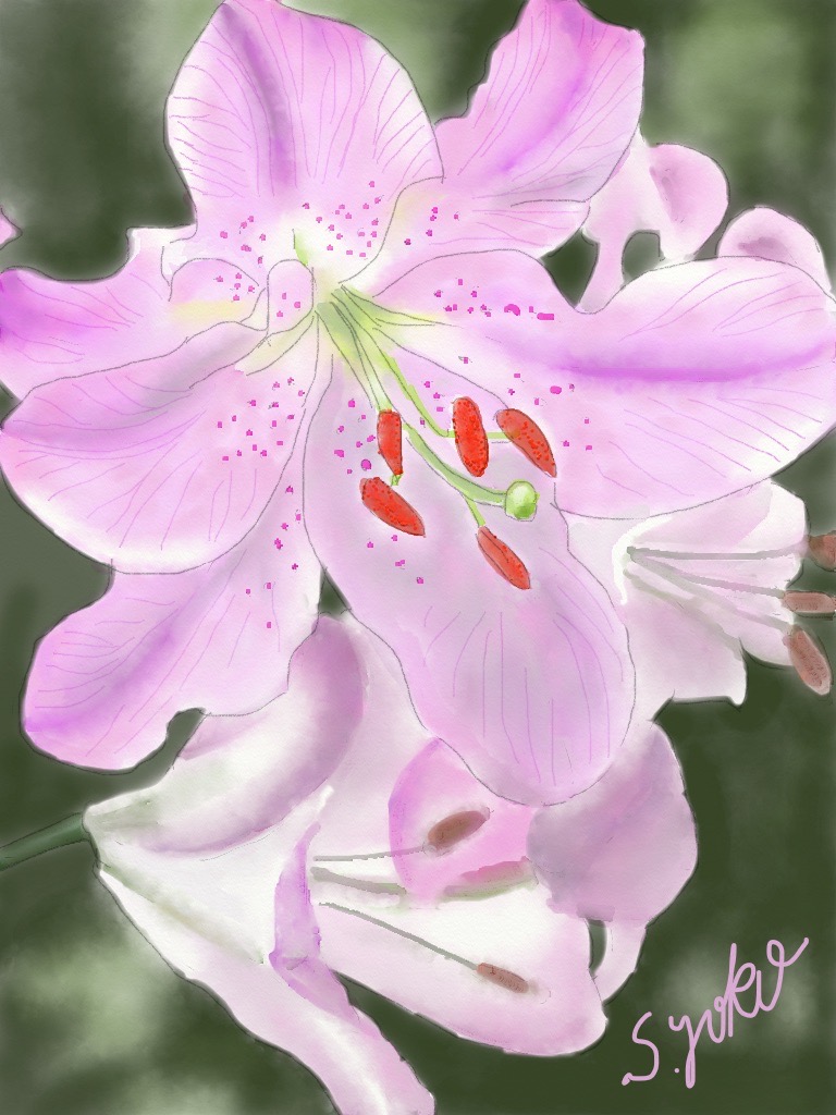 水彩クラス生徒作品6月 初夏 横浜市戸塚区 泉区のパソコン タブレット スマホの教室 パソルーム